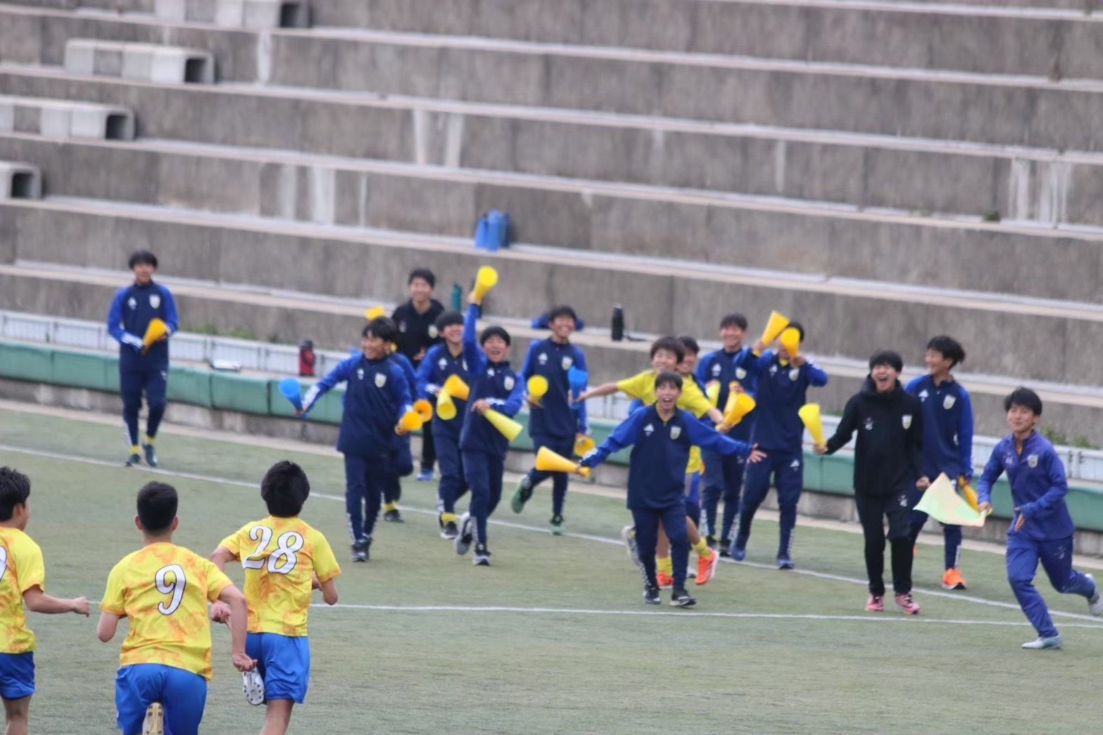 公式戦での試合風景
