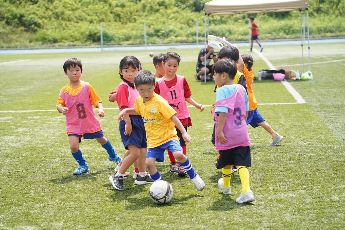 スクール